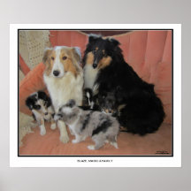 Blaze, Magic & Family Poster