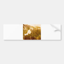 BlazeKiss Bumper Sticker