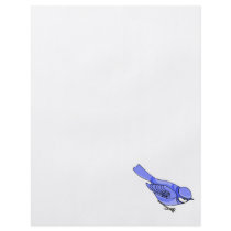 Blazer Blue Jay Flyer
