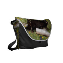 BLBC Black Bear Cub Courier Bag