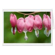 bleeders breather greeting cards