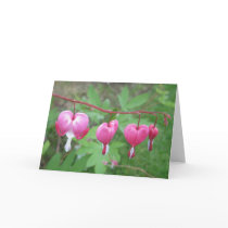 Bleeding Heart Flower Photo Card
