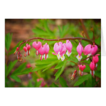Bleeding Heart Flowers With Heart Petals Card