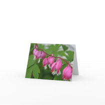 Bleeding Heart Note Card