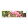 Bleeding Heart Perennials Bumper Sticker