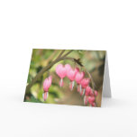 Bleeding Heart Perennials Greeting Card