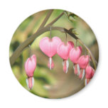 Bleeding Heart Perennials Round Magnet