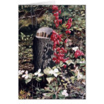 "Bleeding Hearts" by Conrad Mieschke Greeting Cards