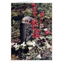 "Bleeding Hearts" by Conrad Mieschke Greeting Cards