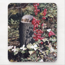 "Bleeding Hearts" by Conrad Mieschke Mouse Mat