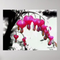 Bleeding Hearts Poster
