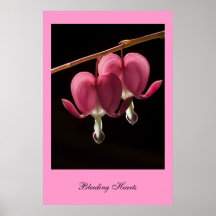 Bleeding Hearts. Poster by cARTerART
