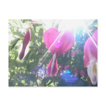bleeding hearts' sun post card