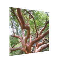 Bleeding Tree Gallery Wrap Canvas
