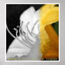 Blend Poster