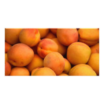 Blenheim Apricots Photo Card
