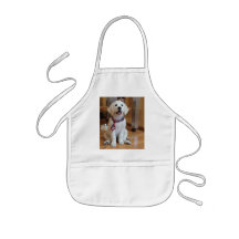 Bless the USA, America Apron
