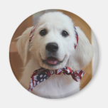 Bless the USA, America Magnets
