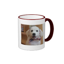 Bless the USA, America Mug