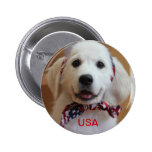 Bless the USA, America Pins