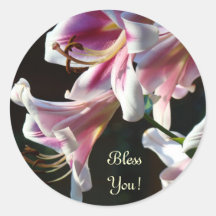 Bless You! stickers Pink White Lily Flowers Floral