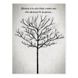Blessed is He who seeks Wisdom a Tree of Life Postcard