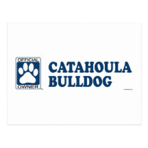 Bleu de bouledogue de Catahoula Cartes Postales