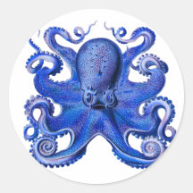 Bleu de poulpe de Haeckel Autocollants Ronds