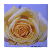 Bleu jaunâtre simple de rose teinté carreaux