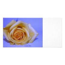 Bleu jaunâtre simple de rose teinté cartes de vœux avec photo
