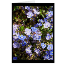 BleU nOteCaRd