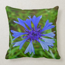 Bleuet botanique du bleu #8 oreiller