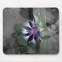 Bleuet Tapis De Souris