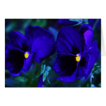 Bleus Cartes De Vœux