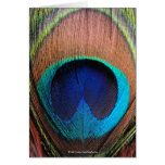 Bleus riches de macro plume de paon photographique cartes