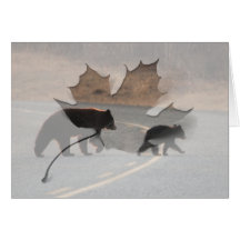 BLHI Black Bears on Highway Greeting Cards