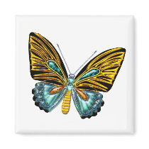 Bling Bling Butterfly