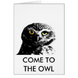 BLINK OWL cards