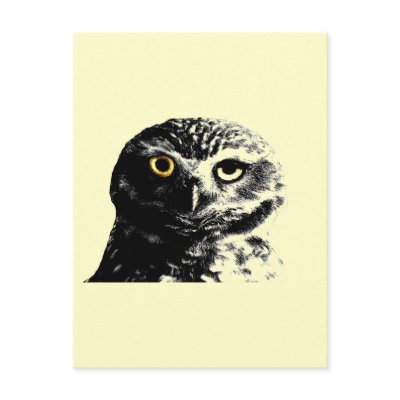 BLINK OWL POST CARDS by AFROFUSION