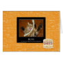 Bliss Greeting Cards