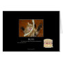 Bliss Card