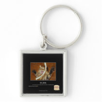 Bliss Keychains
