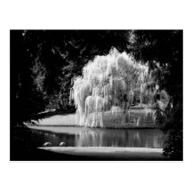Bloedel Reserve Post Cards