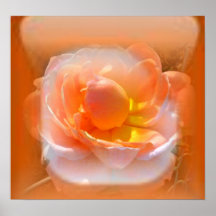 Blogger Rose Bud Posters