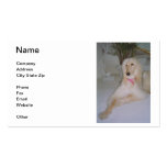 Blonde Afghan Hound Business Card