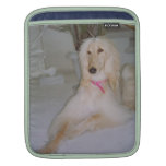 Blonde Afghan Hound Rickshaw Sleeve Sleeves For iPads