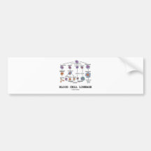 Blood Cell Lineage (Biology Health Medicine) Bumper Stickers