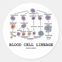 Blood Cell Lineage (Biology Health Medicine) Sticker