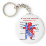 BLOOD FLOW