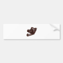 Blood Red Hearts Bumper Sticker